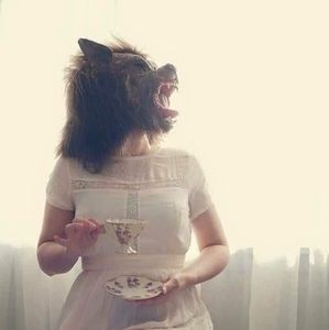 Meet your Posher, Lee